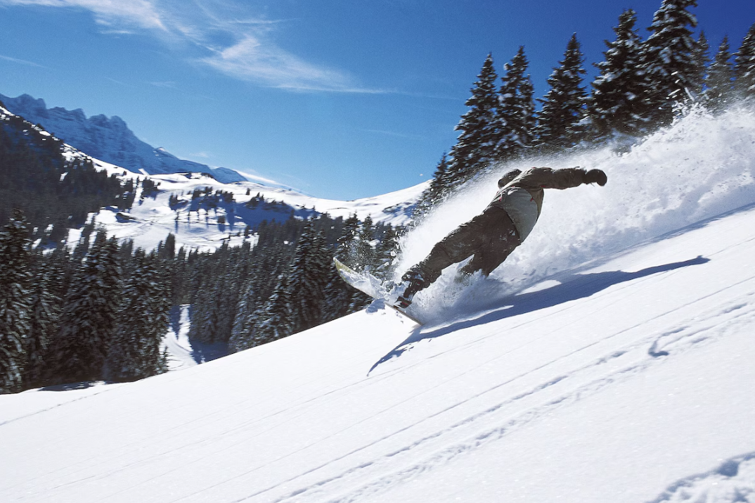 Chalet-Chatel-REF7417415
